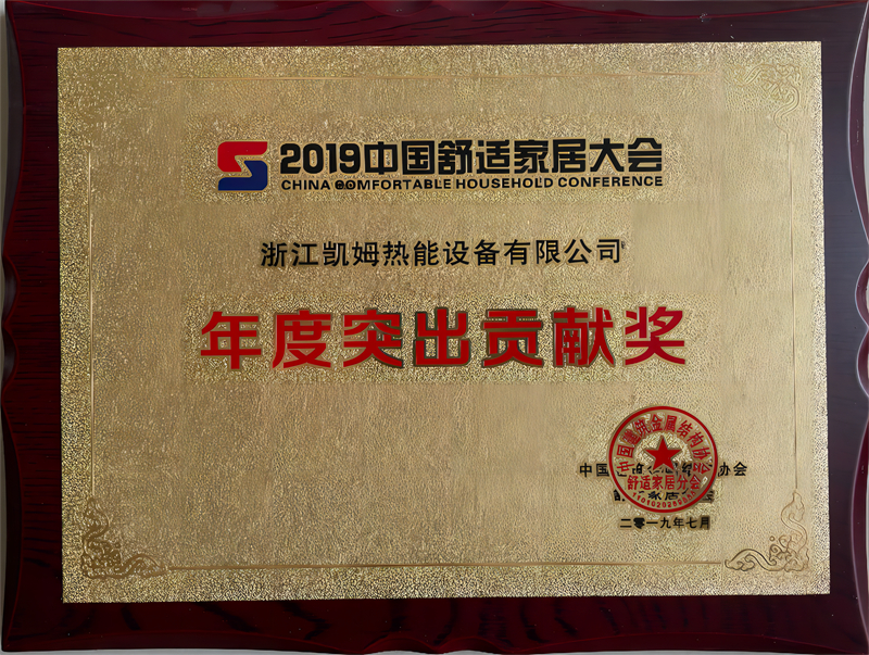 19中国舒适家具大会年度突出贡献奖 - 副本.jpg